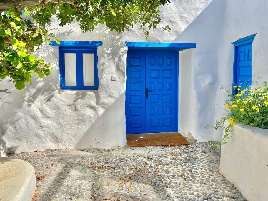 Villa Ocean View Pedro Barba エクステリア 写真