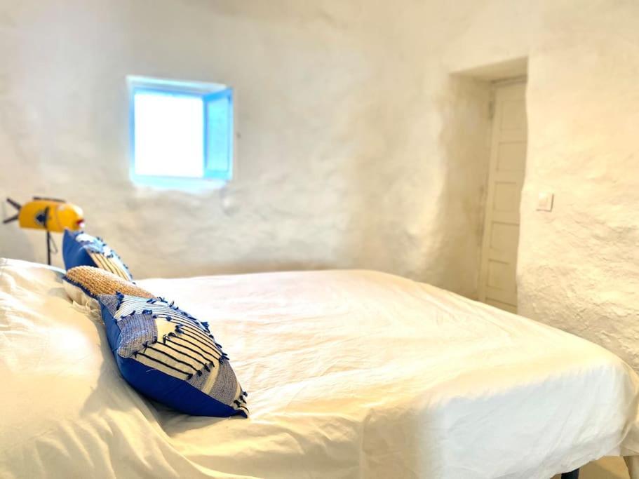 Villa Ocean View Pedro Barba エクステリア 写真